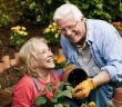 Gartenarbeit im Sommer: Tipps gegen Rücken- und (Foto: Getty Images - stevecoleimages)