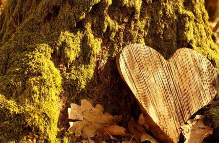 Bestattungskosten seit 2019 um mehr als zwanzig Prozent (Foto: AdobeStock - ImageSine - 333505249)